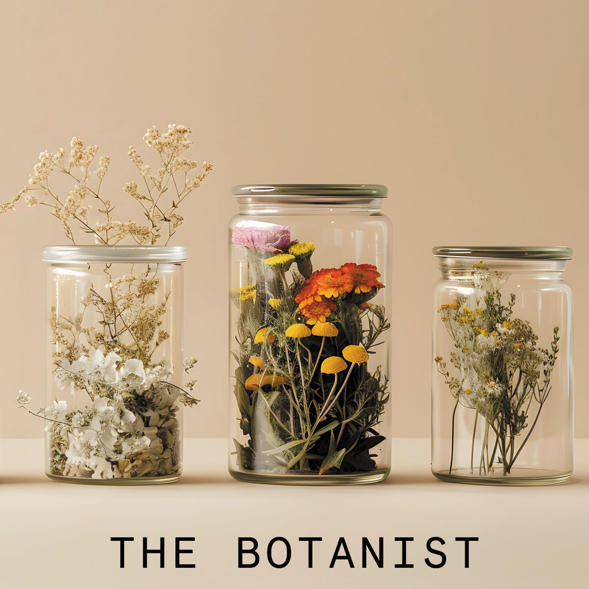 THE BOTANIST - Perfuming Body Lotion - WONDERVELD APOTHECARY