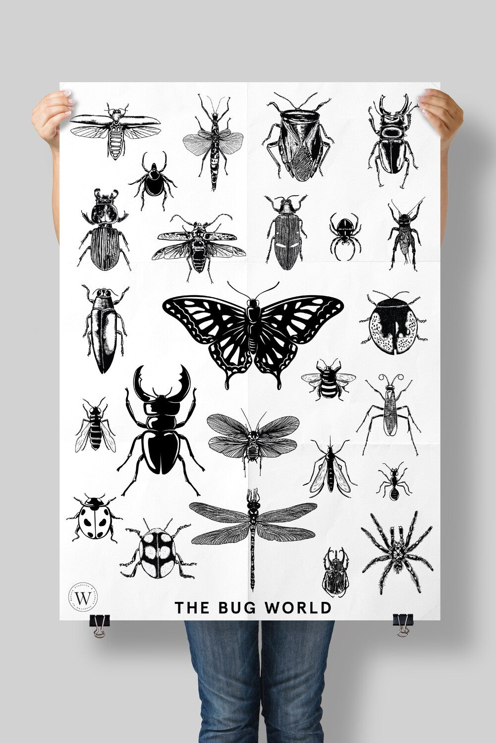 THE BUG WORLD - WONDERVELD APOTHECARY