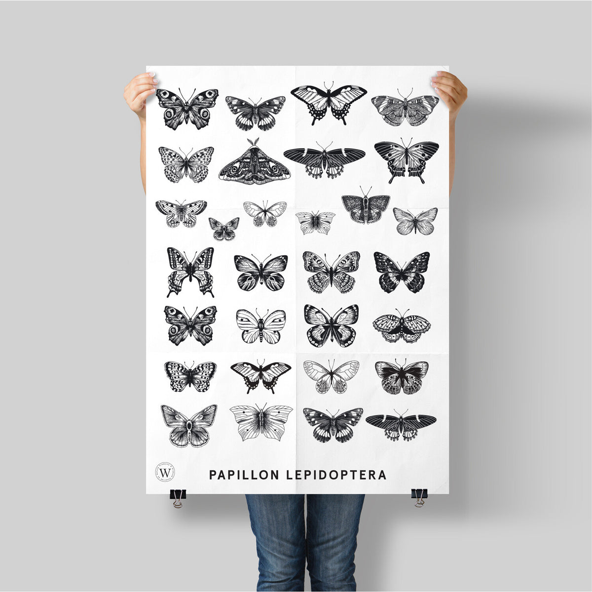 PAPILLON LEPIDOPTERA - WONDERVELD APOTHECARY