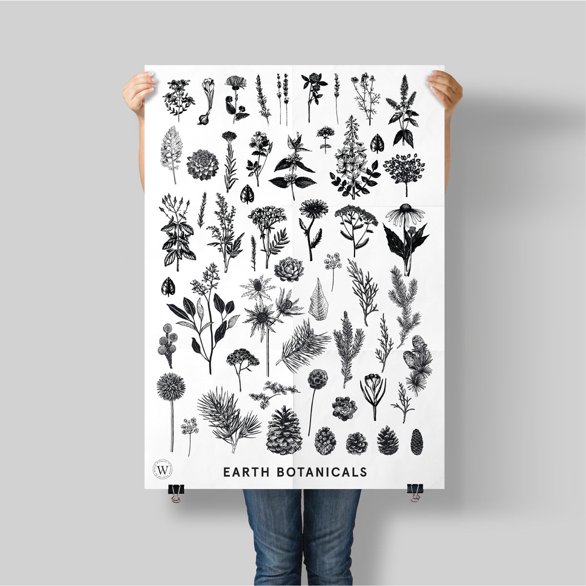 EARTH BOTANICALS - WONDERVELD APOTHECARY