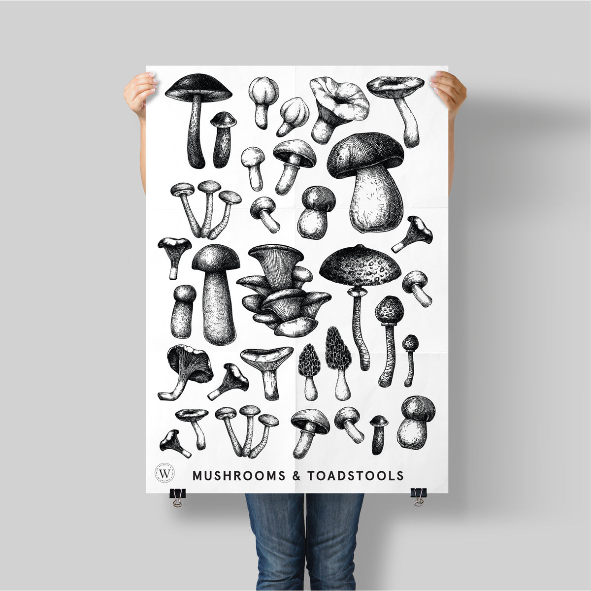 MUSHROOMS & TOADSTOOLS - WONDERVELD APOTHECARY